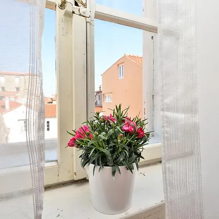 Luna Apartment
